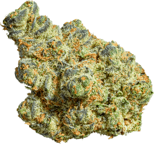 Apple Fritter